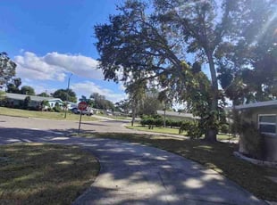 Demetrios H.'s lawn care service result