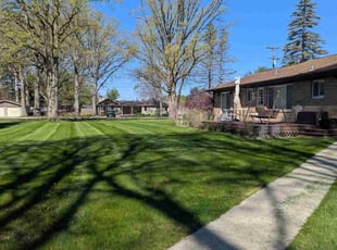 Claudette C.'s lawn care service result
