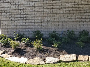 Gladys C.'s Flower Bed Weeding service result