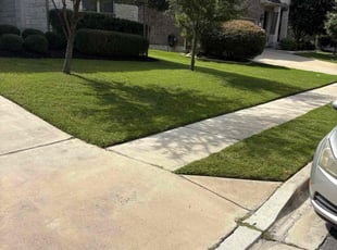 Tiffany B.'s lawn care service result