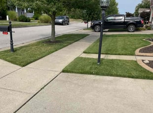 Abby C.'s lawn care services service result