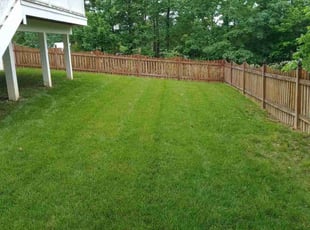 Linda F.'s lawn care service result