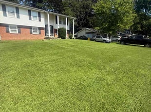 Alexis C.'s turf care service result