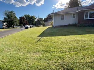 Meredith C.'s lawn care services service result