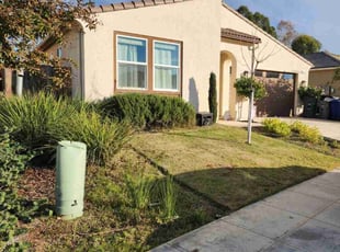 Monique T.'s lawn care services service result