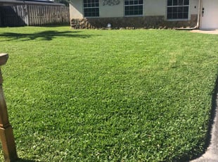 Danielle P.'s lawn care services service result