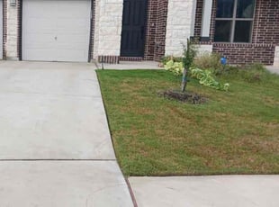 Terry H.'s lawn care services service result