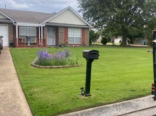 Manuel B.'s turf care service result