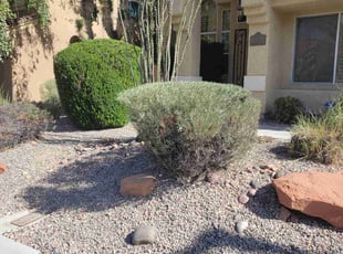 Nancy P.'s Bush Trimming service result