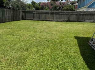 Lance T.'s grass maintenance service result