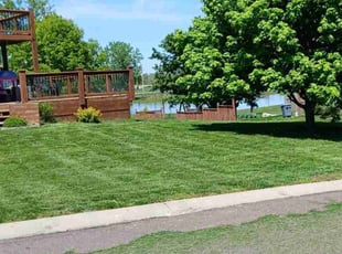 Angela C.'s lawn care service result