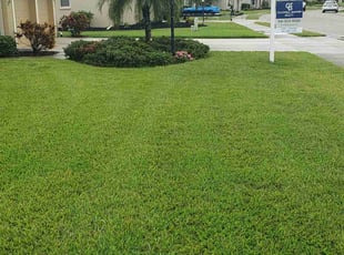 Jacob C.'s lawn service service result