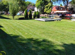 Leah H.'s lawn service service result