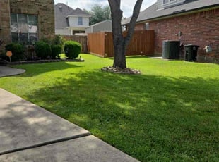 Ray B.'s turf care service result