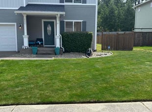 Mitzi L.'s lawn care service result
