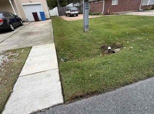 Stacy W.'s lawn care service result