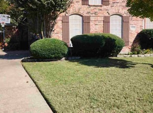 James G.'s Bush Trimming service result