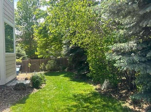 Judith D.'s lawn service service result