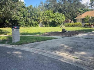 John N.'s turf care service result