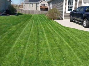 Susie F.'s lawn care services service result
