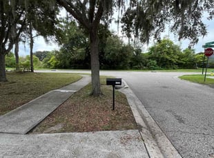 Ayo M.'s grass cutting service result