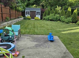 Julius A.'s lawn service service result