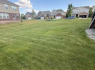 Crispian G.'s turf care service result