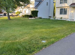 Larry L.'s lawn service service result