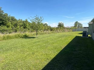 Christopher D.'s lawn care services service result