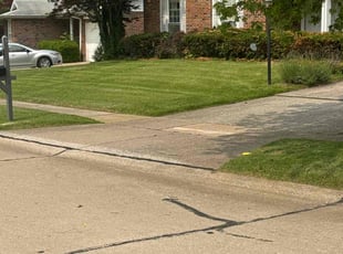 Jake P.'s grass cutting service result