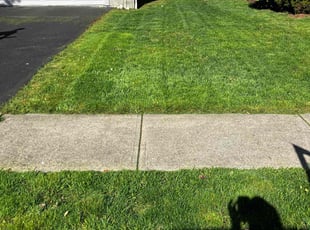 Viet n.'s lawn maintenance service result