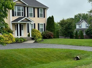 Ariel F.'s lawn care services service result