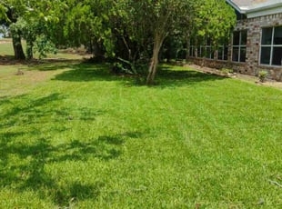 John T.'s grass cutting service result