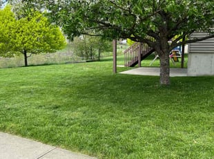 Michele S.'s turf maintenance service result