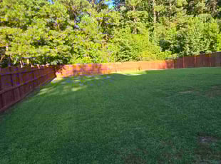 John L.'s lawn care services service result