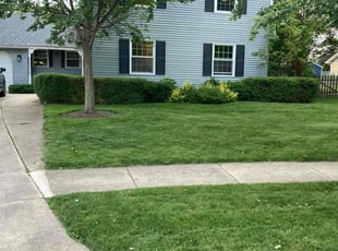 Sara G.'s lawn care service result