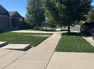 Ethan D.'s lawn care service result