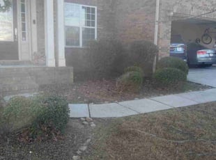 Debra A.'s Bush Trimming service result