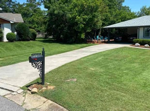 Michael P.'s grass cutting service result