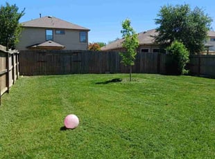 Brian F.'s lawn care service result