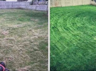 Ximena B.'s lawn care service result