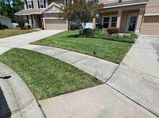 Angela M.'s grass cutting service result