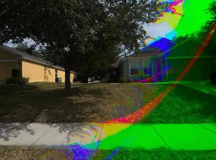 Sandra H.'s Leaf Removal service result