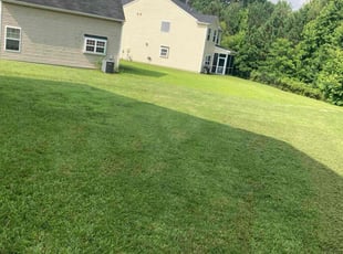 Traci C.'s turf care service result