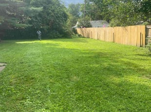 Jeff S.'s lawn care service result