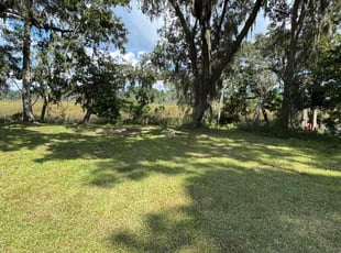 Chase C.'s grass maintenance service result