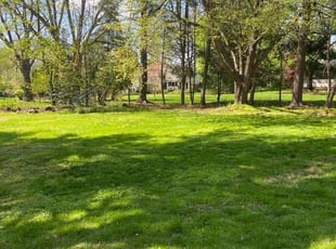 Richard B.'s lawn service service result