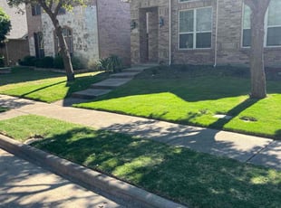 James D.'s lawn service service result