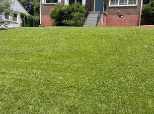 Ron P.'s lawn maintenance service result