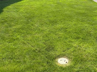 Helen K.'s grass maintenance service result